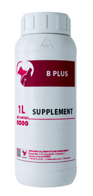 B PLUS
