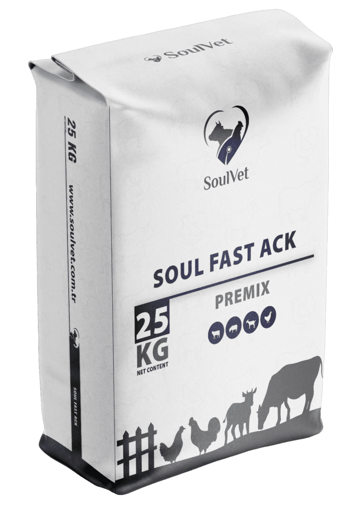 SOUL FAST ACK 25 Kg