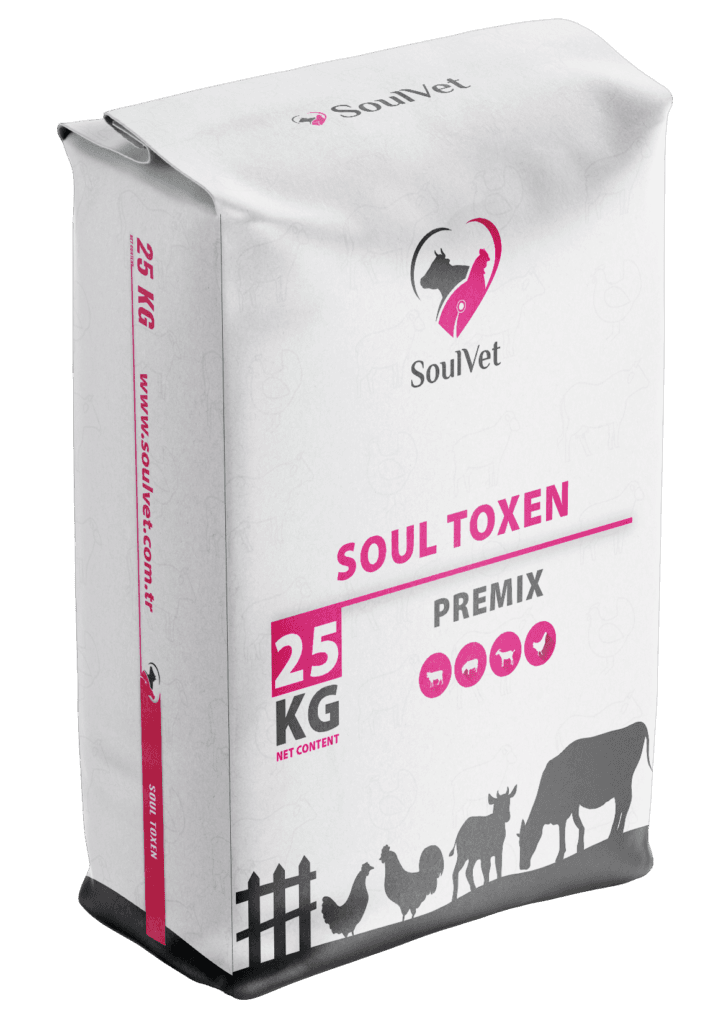 SOUL TOXEN
