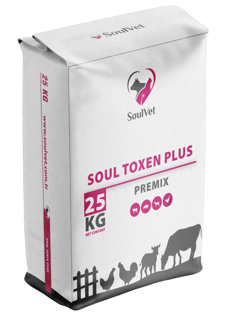 SOUL TOXEN PLUS